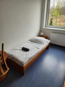 1 cama en una habitación con ventana en Ubytování Janovice nad Úhlavou, Rozvojová zóna 186, en Janovice nad Úhlavou