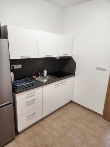 Kuchyňa alebo kuchynka v ubytovaní Ubytování Janovice nad Úhlavou, Rozvojová zóna 186