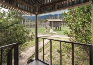 - une vue depuis la terrasse couverte d'une grange avec un cheval dans un champ dans l'établissement Tenikwa Wildlife Centre, à Plettenberg Bay
