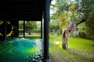 a pool with a tree in the middle of a house at I Capricci Di Merion - Resort & Spa in Tuoro sul Trasimeno