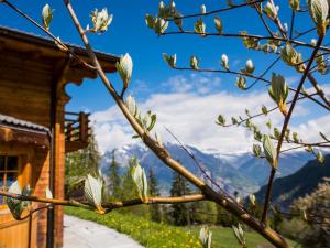 a branch of a tree with mountains in the background at Chalet Colonia in La Tzoumaz