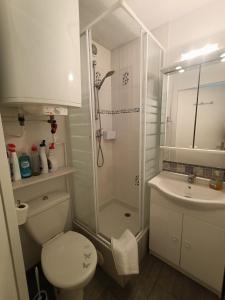 uma casa de banho com um chuveiro, um WC e um lavatório. em T2 vue Mer - St Pierre la Mer 2PLM67 em Saint Pierre La Mer
