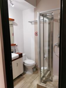 a bathroom with a toilet and a glass shower at Nevis Fundeni in Bucharest