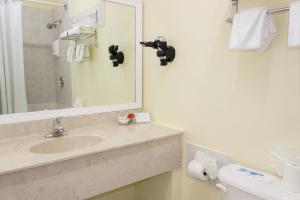 a bathroom with a sink and a mirror and a toilet at Bay Gardens Inn in Gros Islet