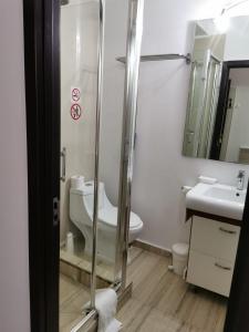 a bathroom with a shower and a toilet and a sink at Nevis Fundeni in Bucharest