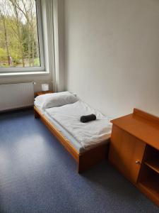 a small bed in a room with a window at Ubytování Janovice nad Úhlavou, Rozvojová zóna 186 in Janovice nad Úhlavou