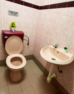 a bathroom with a toilet and a sink at Batu Pahat Hill View Homestay in Batu Pahat