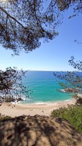 a view of a beach with the ocean at Daro Apartments in Platja  d'Aro
