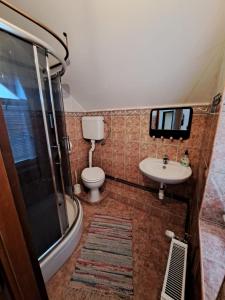 a bathroom with a toilet and a sink at Privatni smještaj Tolić in Ladimirevci