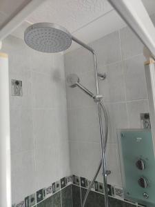 a shower with a shower head in a bathroom at The Dial inn in Lamphey
