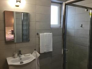 La salle de bains est pourvue d'un lavabo et d'une douche avec un miroir. dans l'établissement Casa Wagner, à Sibiu