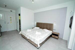 斯卡拉拉乔伊Platana Studios Karadolas的相册照片