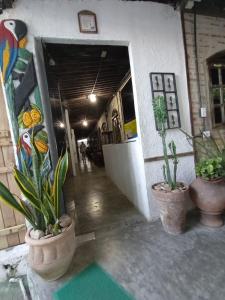 a hallway with two potted plants in a building at Pousada Joãozinho Caminhador in Recife