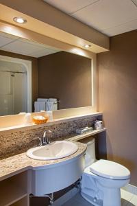 a bathroom with a sink and a toilet and a mirror at Hotel L'Oiseliere Montmagny in Montmagny