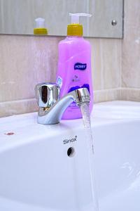 a pink bottle of detergent sitting next to a sink at The Presidential Suite in Ruiru