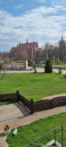 un parque con una valla y un campo de hierba en Apartament Przystań en Frombork