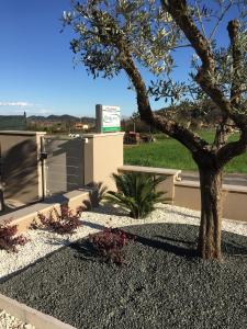 a tree in the middle of a gravel yard at Flyingaway in Borso del Grappa