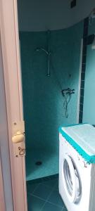 a washing machine in a bathroom with a shower at Il nido di Agnese in Garda