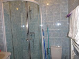 a bathroom with a shower and a toilet at Lac et Montagne in Faverges
