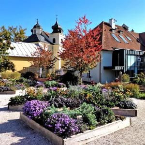 Zahrada ubytování Apartmány Monastery Suites Žireč