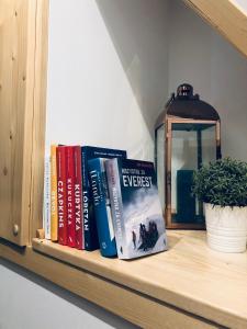 a shelf with books and a lamp and a potted plant at Na Świerkowym Strychu in Szczawnica