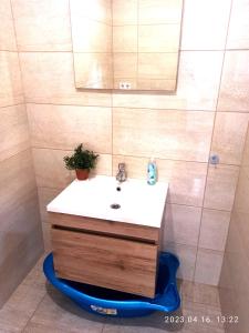 a bathroom with a sink and a mirror at Nagyerdő - Simonyi út in Debrecen