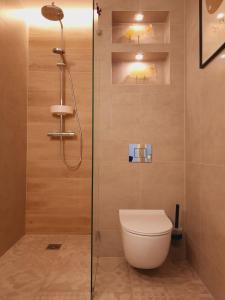 W łazience znajduje się toaleta i przeszklony prysznic. w obiekcie Port Mieszczański parking gratis we Wrocławiu