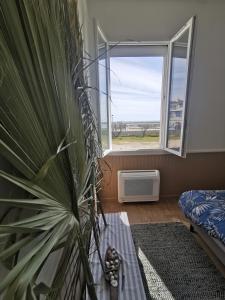 um quarto com um vaso de plantas e uma janela em SPACIEUX APPARTEMENT FRONT DE MER em Saintes-Maries-de-la-Mer