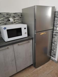 eine Küche mit einer Mikrowelle und einem Kühlschrank in der Unterkunft SPACIEUX APPARTEMENT FRONT DE MER in Saintes-Maries-de-la-Mer
