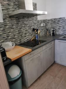 uma cozinha com um lavatório e uma bancada em SPACIEUX APPARTEMENT FRONT DE MER em Saintes-Maries-de-la-Mer