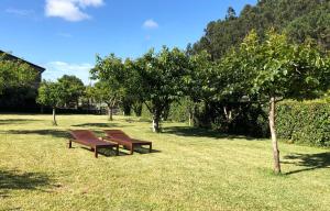 two benches sitting in the grass next to trees at Casa Valdamor in Meaño