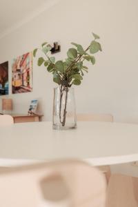 a vase with a plant sitting on top of a table at Casa Velha Apartments - Adults friendly in Albufeira