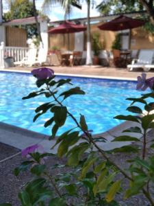 una piscina azul con flores púrpuras delante en HOTEL MACEO MELGAR en Melgar