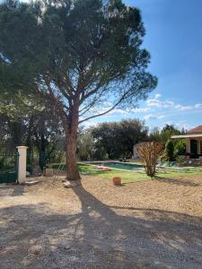 un árbol con su sombra en el suelo en un patio en Villa gitedelea, en Aubignan