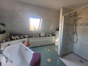 a bathroom with a shower and a bath tub at Ferienwohnung Schmidt in Neu Sallenthin