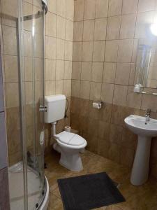 W łazience znajduje się prysznic, toaleta i umywalka. w obiekcie Pensiunea Bella Praid w mieście Praid