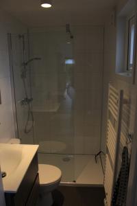 y baño con ducha, aseo y lavamanos. en Chalet Fietsplezier B19, en Renswoude