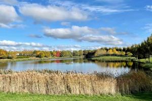 a lake in the middle of a field with trees at Marne la Vallée Apartment in Serris