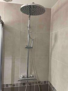 a shower in a bathroom with a shower head at Marne la Vallée Apartment in Serris