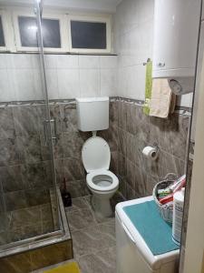 Koupelna v ubytování Apartman Vila Lela