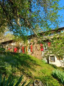 une maison sur une colline avec des fenêtres rouges et des arbres dans l'établissement Les Cèdres Bleus de Joany, à Viviez