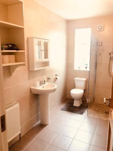 a bathroom with a sink and a toilet and a shower at Lakeview Holiday Home Whitegate in Whitegate