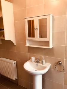 La salle de bains est pourvue d'un lavabo et d'une armoire. dans l'établissement Lakeview Holiday Home Whitegate, à Whitegate