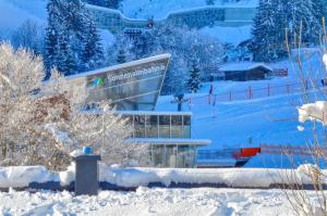Obiekt Chalet Schmitten - by Alpen Apartments zimą