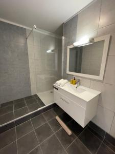 Kúpeľňa v ubytovaní Appartement cosy proche du centre + 5 fotografií