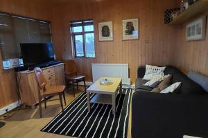 - un salon avec un canapé et une table dans l'établissement Cosy cabin near Hraunfossar, à Reykholt
