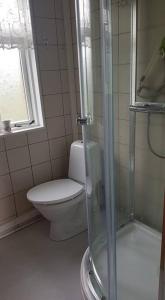 La salle de bains est pourvue de toilettes et d'une douche en verre. dans l'établissement Cosy cabin near Hraunfossar, à Reykholt