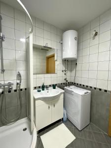 Ένα μπάνιο στο Apartment Dalmatino