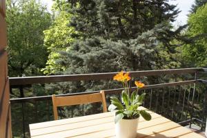 Balkón nebo terasa v ubytování Lotus B&B
