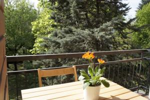 ミラノにあるLotus B&Bの鉢植えの木製ベンチ付きバルコニー